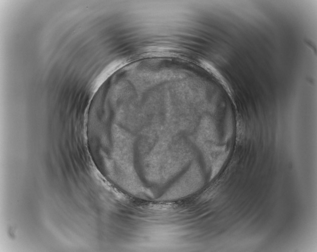 X0000102521386200808291747