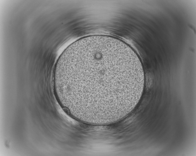 X0000102521387200808291747