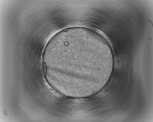 X0000102521388200808291747