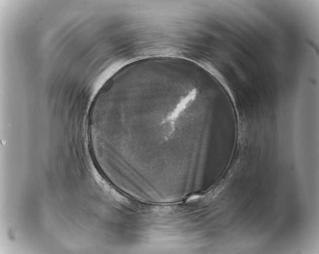 X0000102521389200808291747