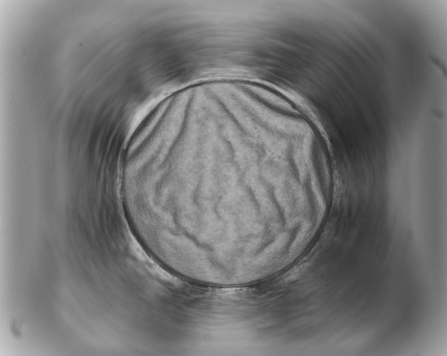 X0000102521390200808291747