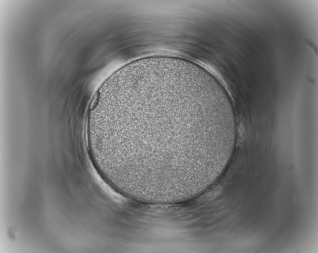 X0000102521391200808291747