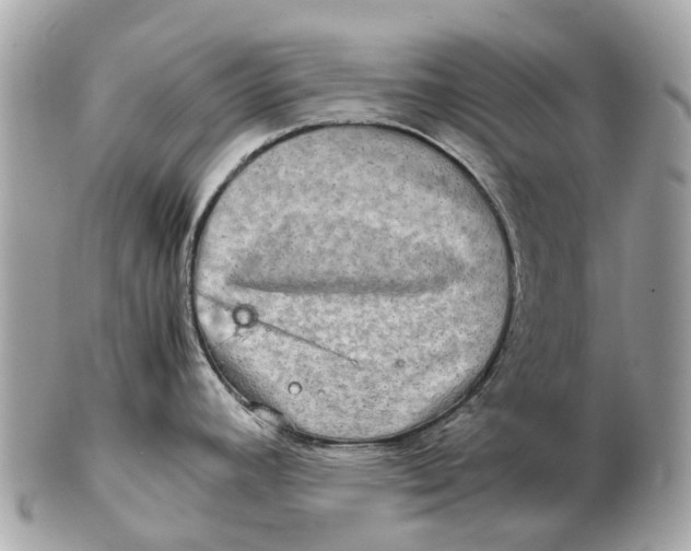 X0000102521392200808291747