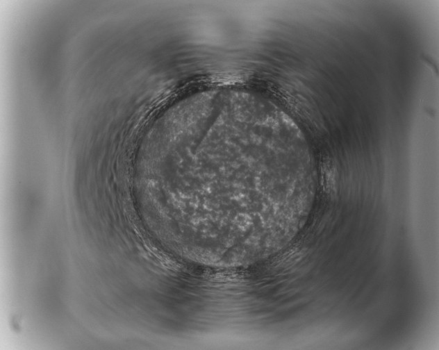 X0000102521393200808291746