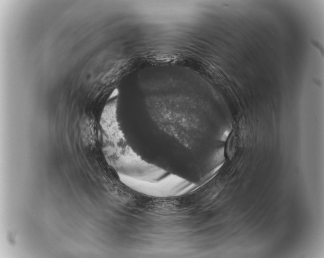 X0000102521394200808291746