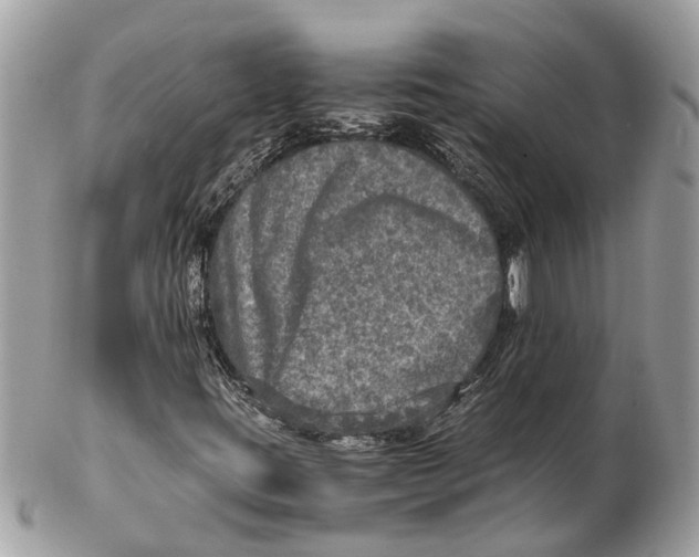 X0000102521395200808291746