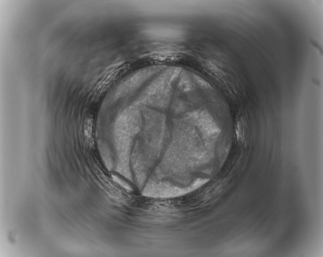 X0000102521396200808291746