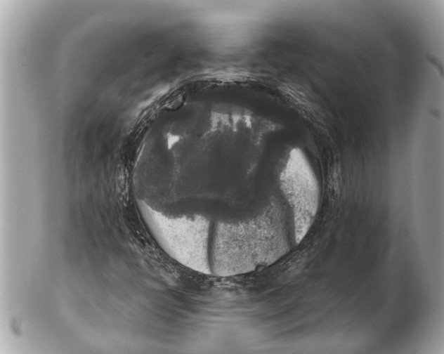 X0000102521398200808291746