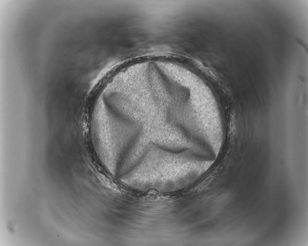 X0000102521400200808291746