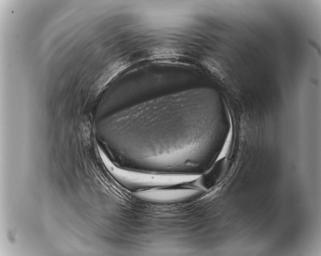 X0000102521401200808291746