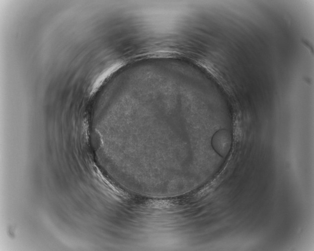 X0000102521402200808291746