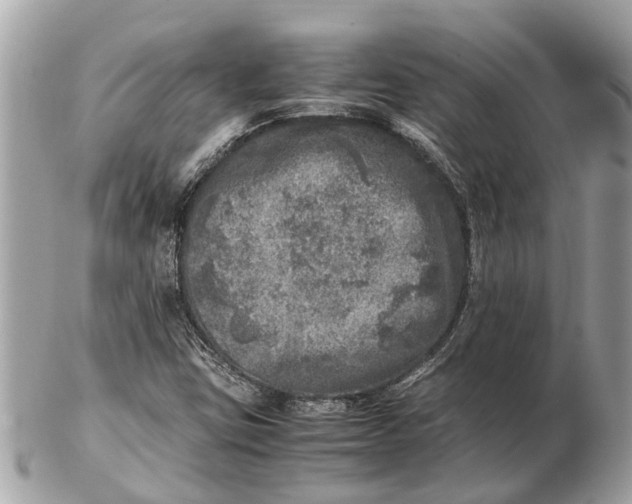 X0000102521403200808291746