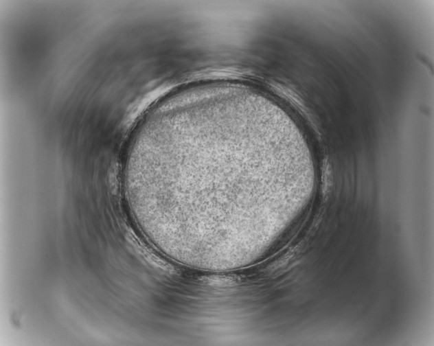 X0000102521404200808291746