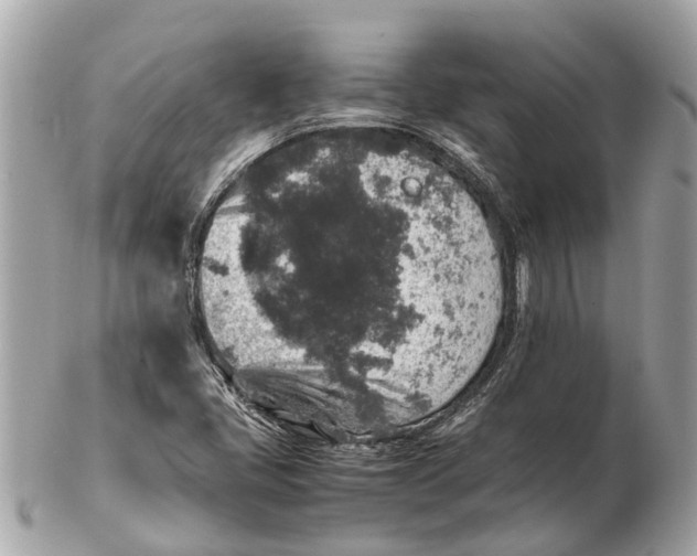 X0000102521405200808291746