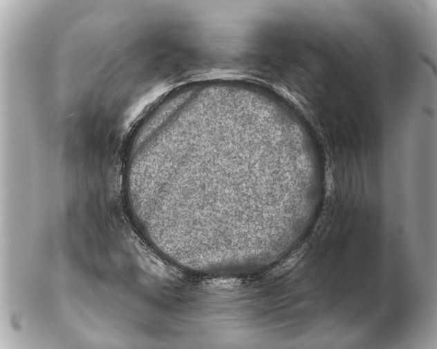 X0000102521406200808291746