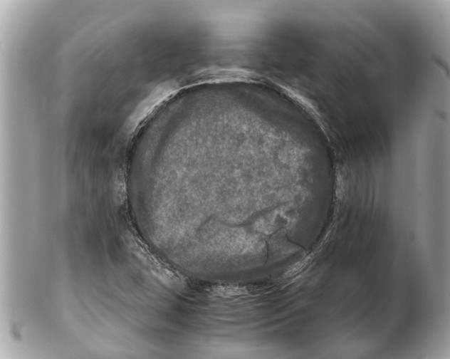 X0000102521407200808291746