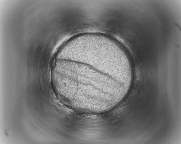 X0000102521408200808291746