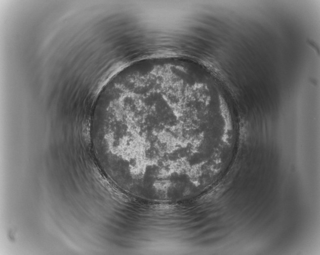 X0000102521409200808291746