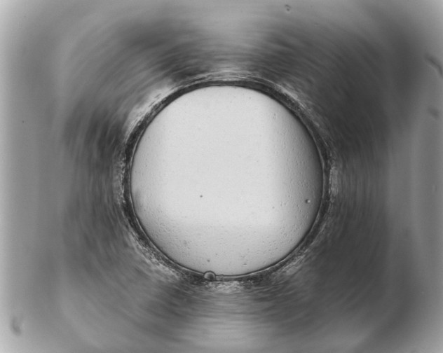 X0000102521410200808291746