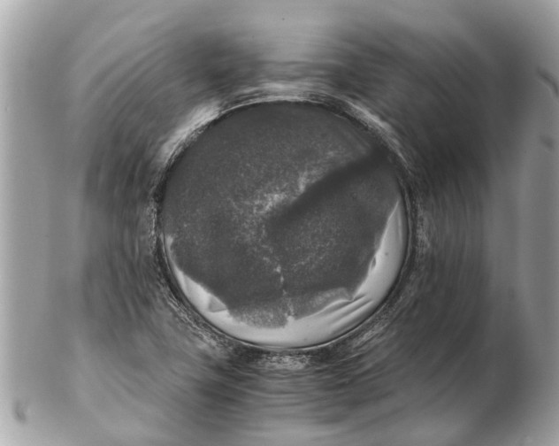 X0000102521411200808291746