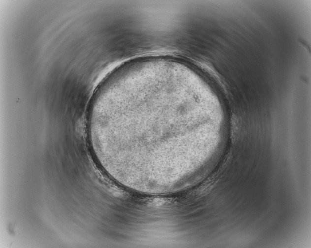 X0000102521412200808291746