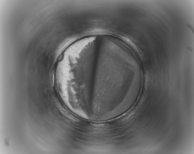 X0000102521413200808291746