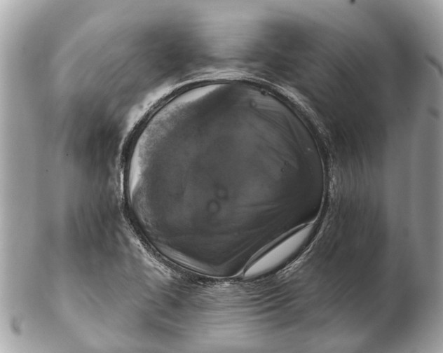 X0000102521414200808291746