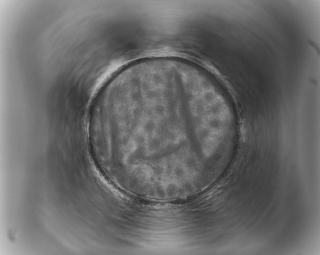 X0000102521416200808291746