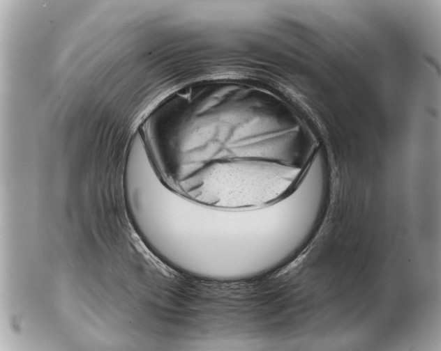 X0000102521417200808291746