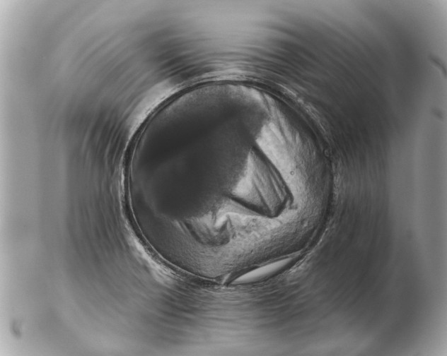 X0000102521418200808291746