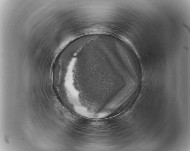 X0000102521419200808291747