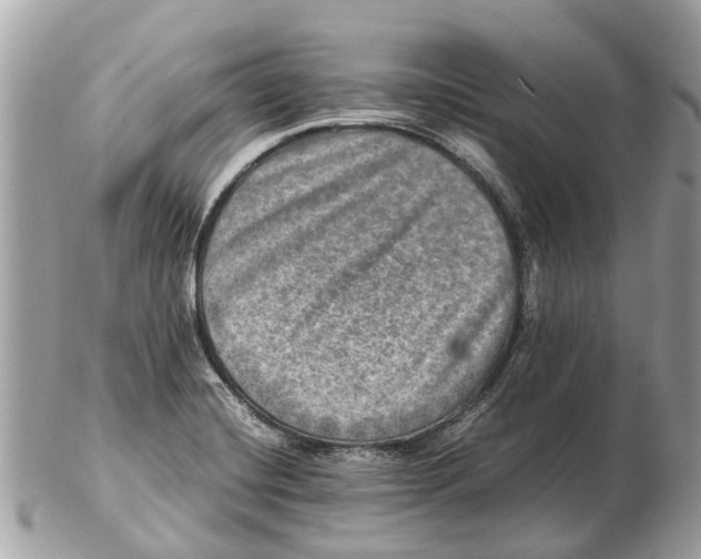 X0000102521420200808291747