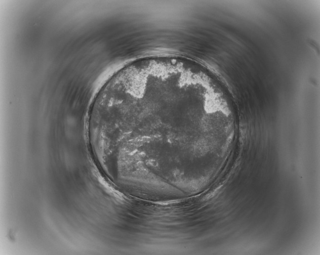 X0000102521421200808291747