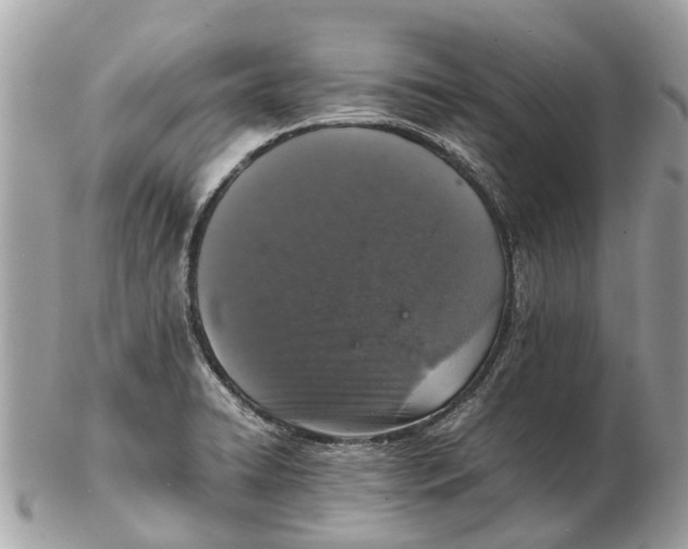 X0000102521422200808291747