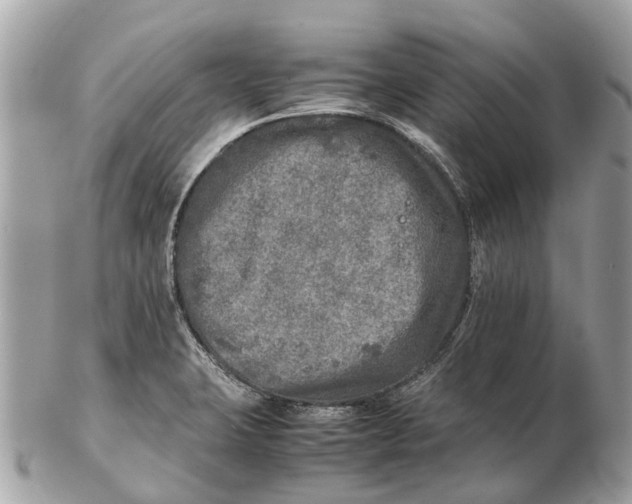 X0000102521423200808291747