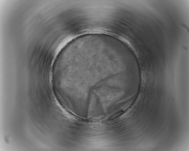 X0000102521424200808291747