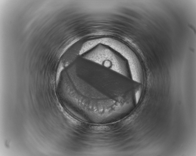 X0000102521425200808291747