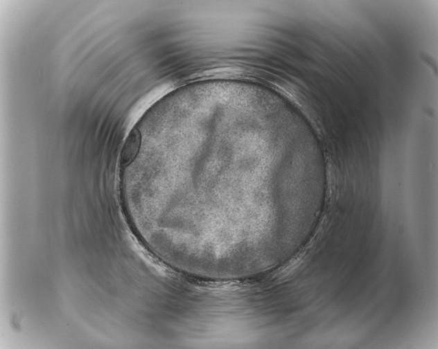 X0000102521426200808291747