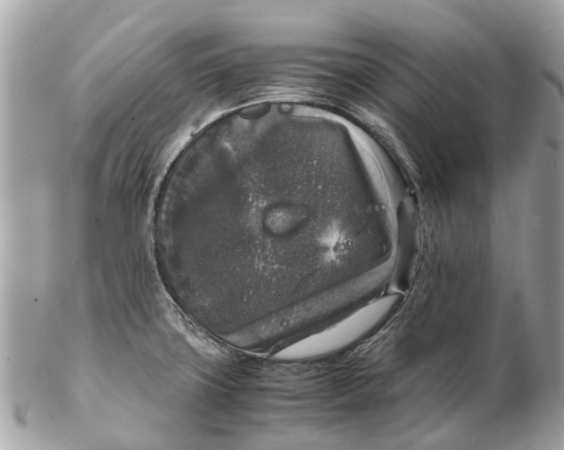 X0000102521427200808291747