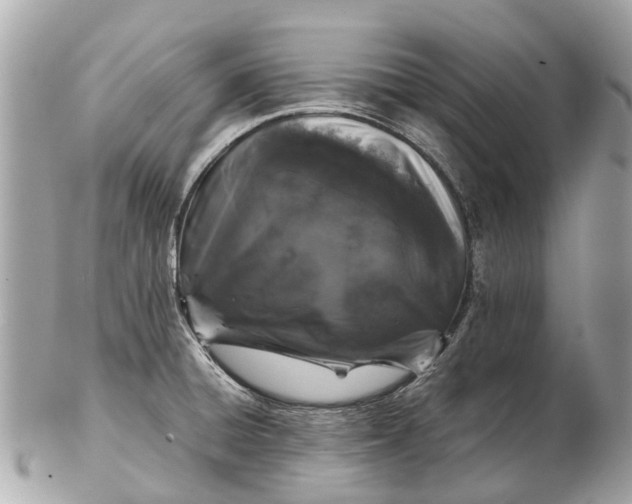 X0000102521428200808291747