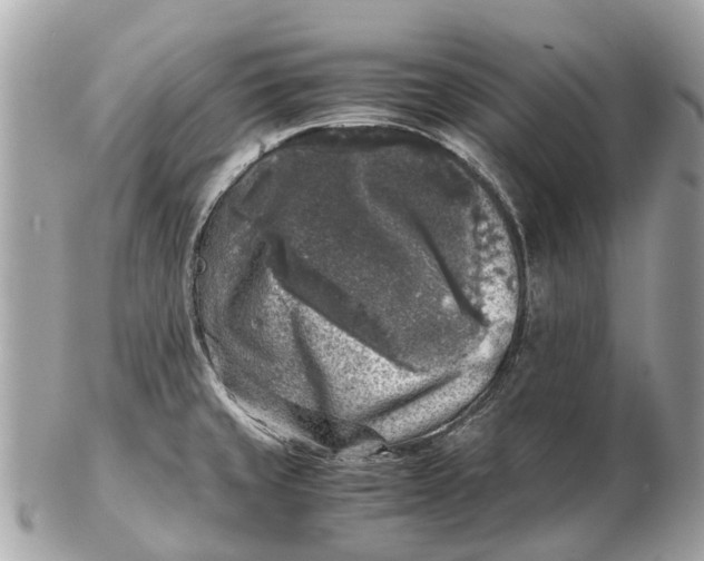 X0000102521429200808291747