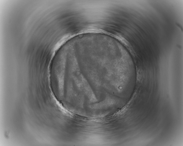 X0000102521430200808291747