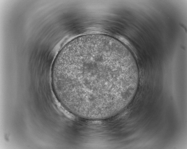 X0000102521431200808291747