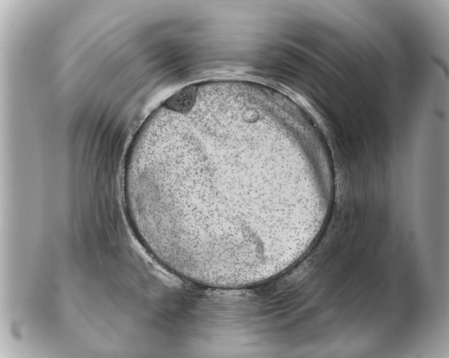 X0000102521432200808291747