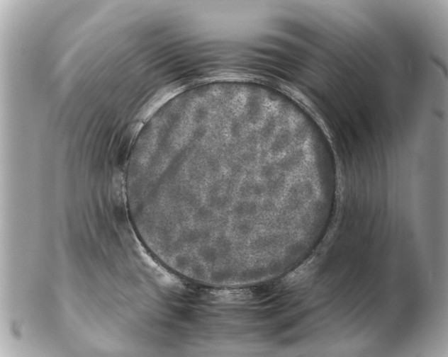 X0000102521433200808291747