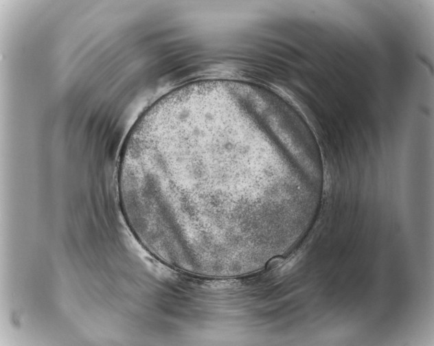 X0000102521434200808291747