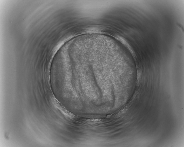 X0000102521435200808291747