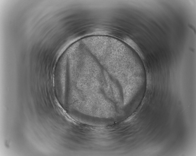 X0000102521436200808291747