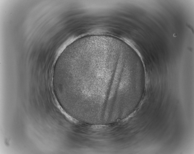 X0000102521437200808291747