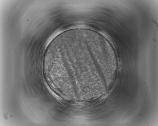 X0000102521438200808291747